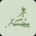 springbokcasino logo