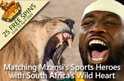 Get Wild with Beary Wild at Springbok Casino